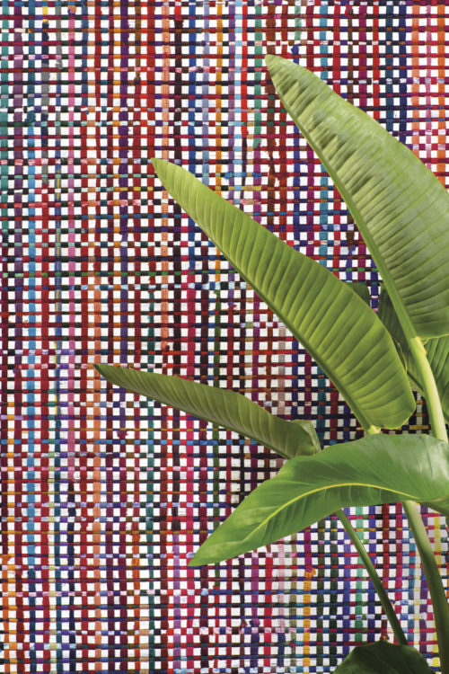 From the handweaver's loom to your living room. This is a closeup of the "Extravaganza" wallcovering design from Omexco's Atelier collection. Colorful recycled sari silk ribbons are handwoven with Abaca. In front of the statement wall we see the leafs of a tropical house plant.